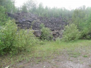P6125619